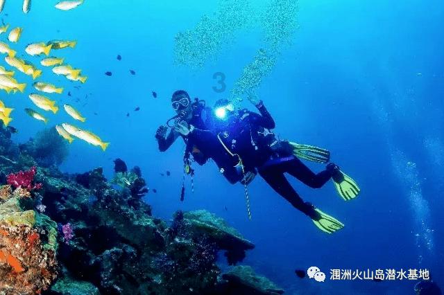 九龙坡:非遗闹春年味浓