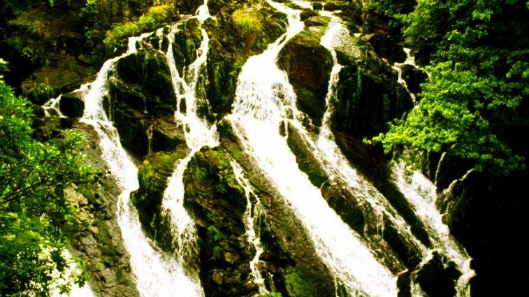 逃出美丽度假胜地